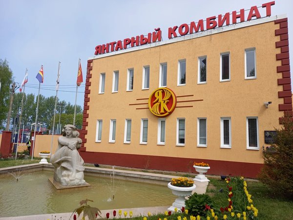 Из Светлогорска в Янтарный: кладовые солнца - фото 3