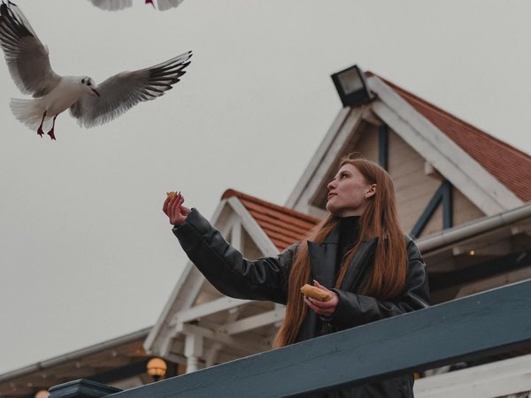 Фотопрогулка по Балтийскому побережью (из Светлогорска) - фото 1