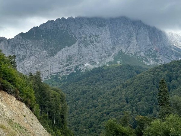 Из Краснодара в горы на весь день: Гуамское ущелье и Пшехский водопад - фото 4