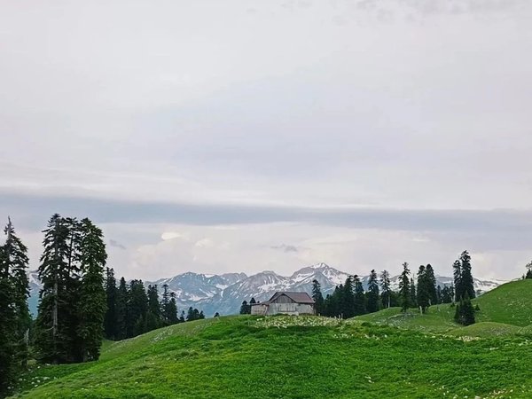 Поездка в Абхазию с треккингом к альпийским лугам - фото 2