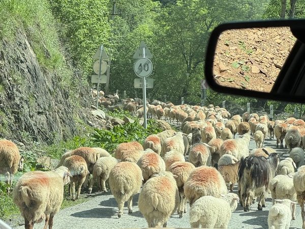 Мини-группой на джипе по труднодоступной Тушетии (всё включено) - фото 2