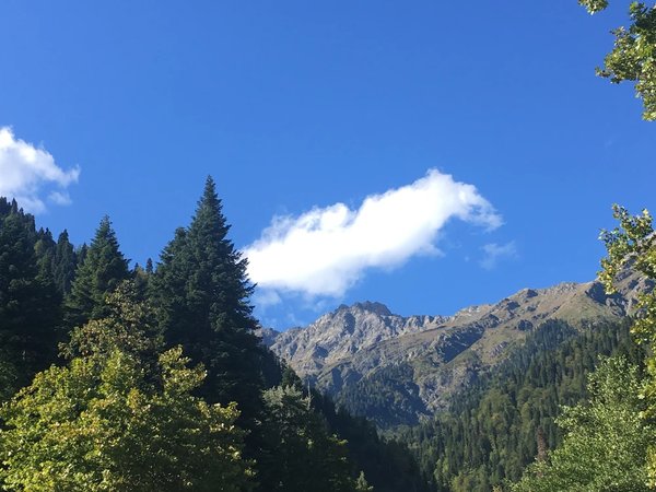 Русская Швейцария: к горам Красной Поляны из Адлера - фото 3