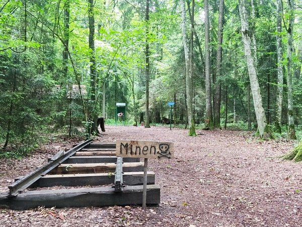 В прошлое по партизанским тропам — из Бреста в лагерь Ивацевичи - фото 3