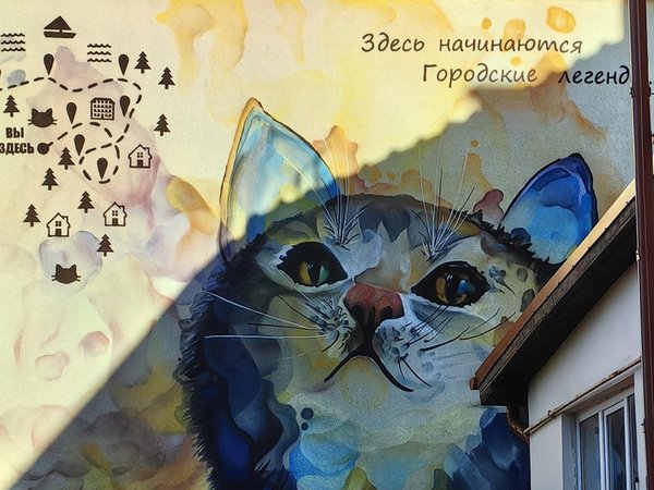 Найти три сотни котиков и дюжину ёжиков — квест-прогулка из Калининграда (7+) - фото 2