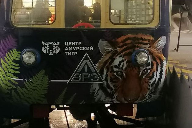 Фото экскурсии - Исследуем Владивосток вместе - 8