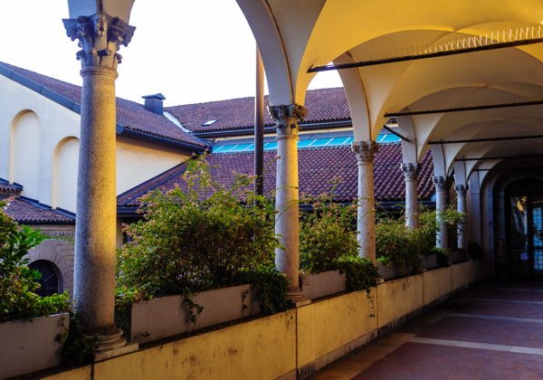 Амброзина: Да Винчи Атлантичкский кодекс. Рафаэль и его картоны - фото 2