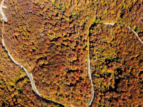 Преддверие Дагестана: джип-путешествие в Панкисское ущелье - фото 3