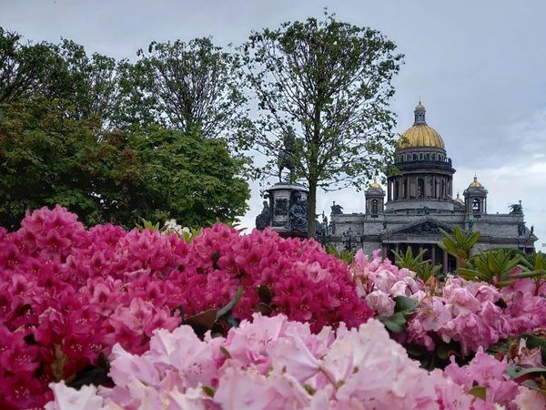 «Золотой треугольник» Петербурга: обзорная экскурсия - фото 4