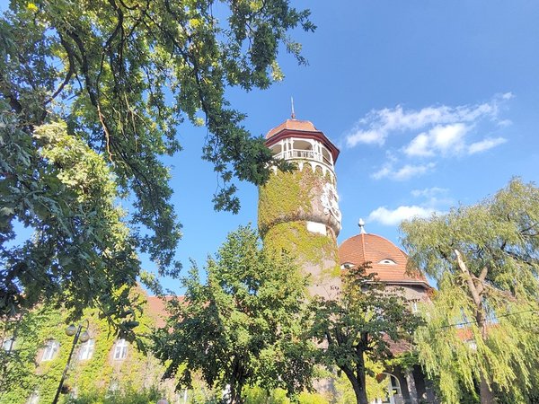 К старым курортам Балтики — из Янтарного или Балтийска - фото 2