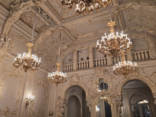 Дом учёных в Петербурге: дворец и его закрытые залы - фото 2
