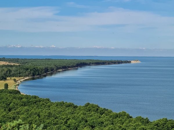 Куршская коса: нетривиальный маршрут (из Калининграда) - фото 3