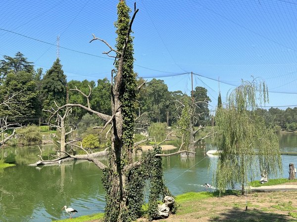Сказка Батуми: Храм Самеба и 3 парка за 1 день - фото 4