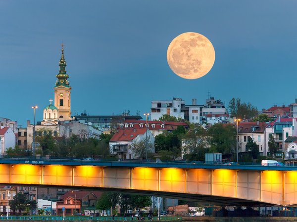 Все краски Белграда - фото 4