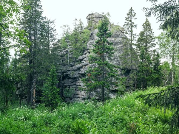 Путешествие за сокровищем - фото 2