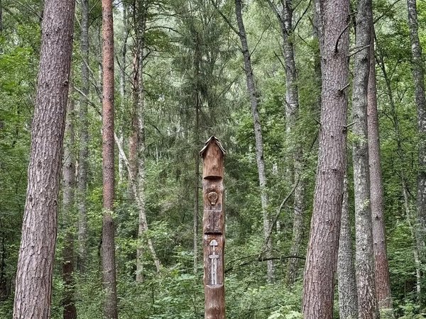 Из Смоленска — в Гнёздово, к курганам и викингам - фото 3