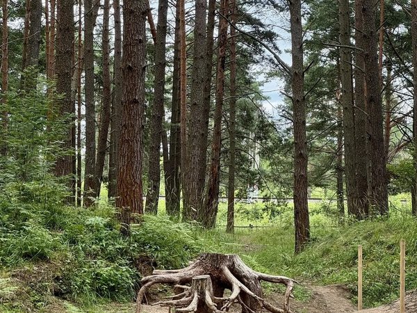 Из Смоленска — в Гнёздово, к курганам и викингам - фото 4