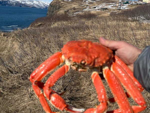 Из Петропавловска-Камчатского — на мыс Маячный и к скалам Три брата - фото 3