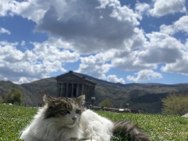 Пешком к заброшенному монастырю Авуц Тар — из Еревана - фото 2