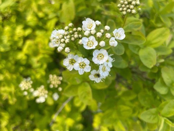 Из Казани — к Голубым озёрам, заповеднику и монастырю среди деревьев - фото 3