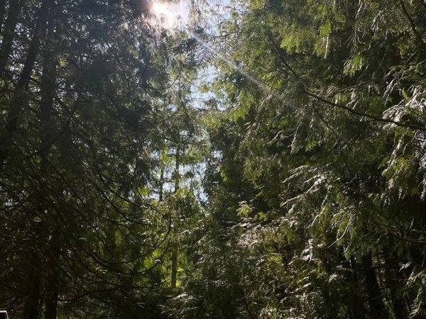 Из Казани — к Голубым озёрам, заповеднику и монастырю среди деревьев - фото 1