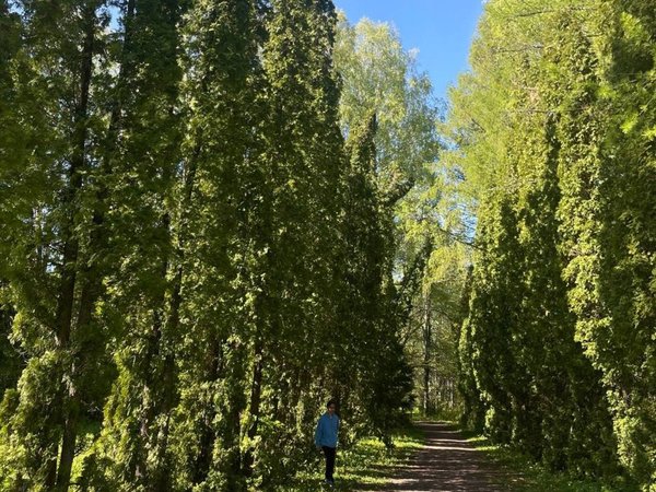 Из Казани — к Голубым озёрам, заповеднику и монастырю среди деревьев - фото 4