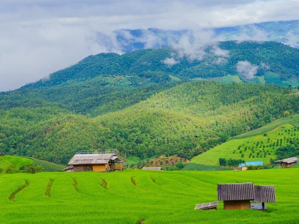 По Таиланду в мини-группе: 4 города, высокогорная деревня и национальный парк - фото 3