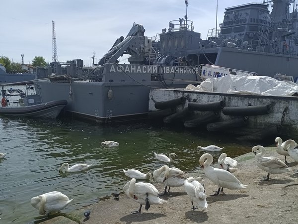 Балтийское побережье — в поисках сокровищ - фото 4