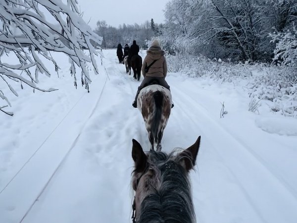 Конное путешествие в сердце Выборга — из Петербурга - фото 3