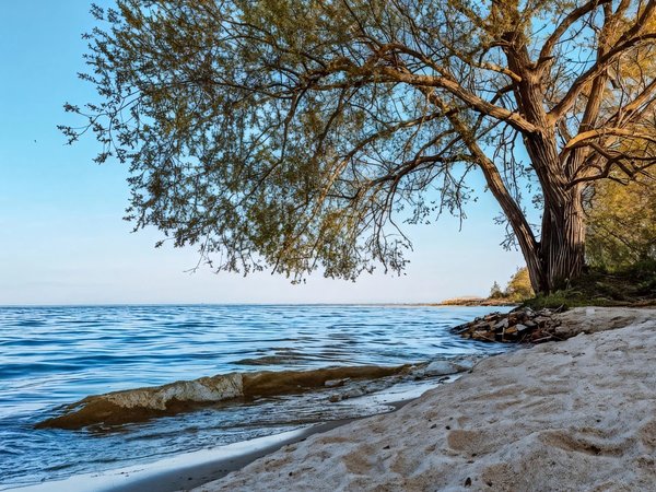 Вечерняя природа Куршской косы и прогулка по заливу (из Калининграда) - фото 4