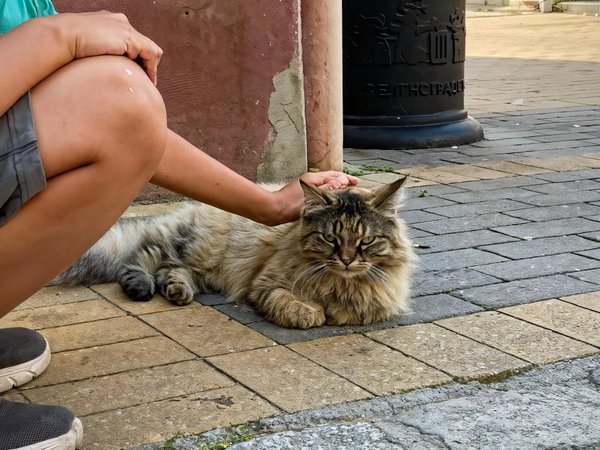 Вечерняя природа Куршской косы и прогулка по заливу (из Калининграда) - фото 3