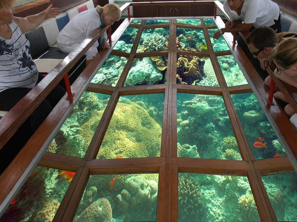 Знакомство с Шарм-эль-Шейхом: по морю и по суше - фото 3