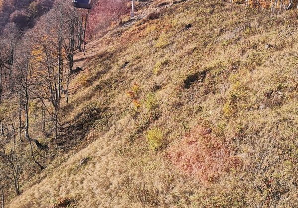 Азербайджанская Швейцария: регион Габала (индивидуальная экскурсия) - фото 1