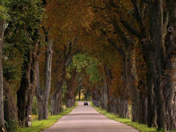 Галопом по Европам, или Дегустация восточной самобытности - фото 1
