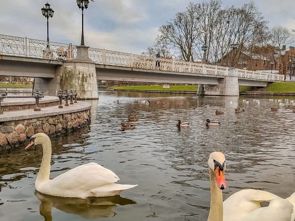 Близнец Амалиенау: прогулка по нетуристическому району вилл - фото 4