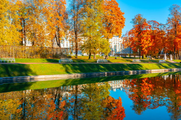 Экскурсия в Царское Село с посещением Екатерининского Дворца в мини-группе-5