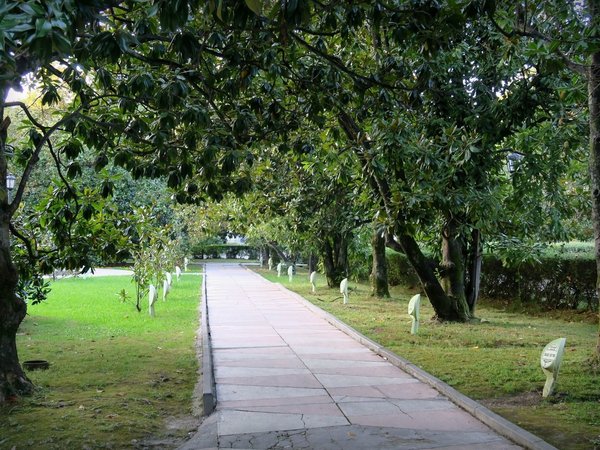 Walk & talk: экскурсия с коучем по парку «Ривьера» - фото 3