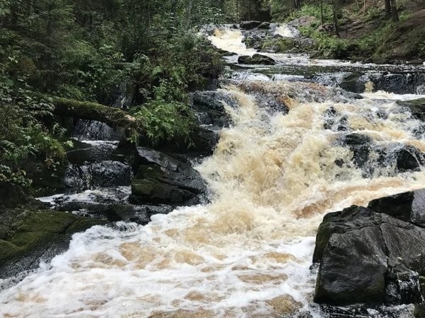 Долина водопадов и треккинг по карельскому лесу с хаски! - фото 2