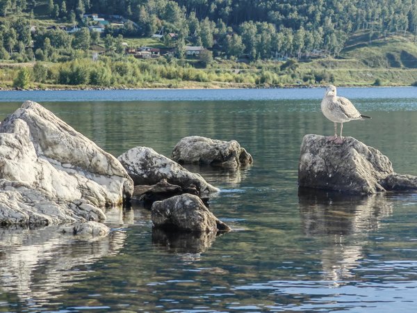 Релакс-экскурсия у южного берега Байкала — из Иркутска - фото 1