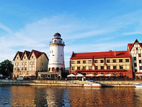 Философское приключение в Калининграде - фото 3