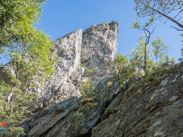На гору Шунут — на внедорожнике - фото 1