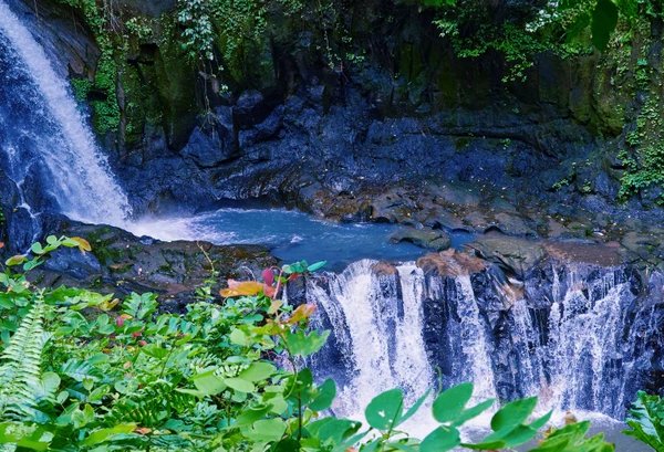 Живая материя Бали: дерево, шёлк и брызги водопадов - фото 1