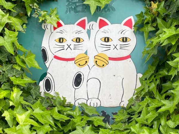 Открывая Японию: неделя в Токио с глубоким погружением в жизнь и культуру Страны восходящего солнца - фото 3