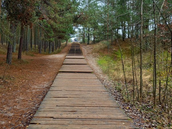 Увлекательные выходные: Калининград и курортные городки с местным гидом - фото 2