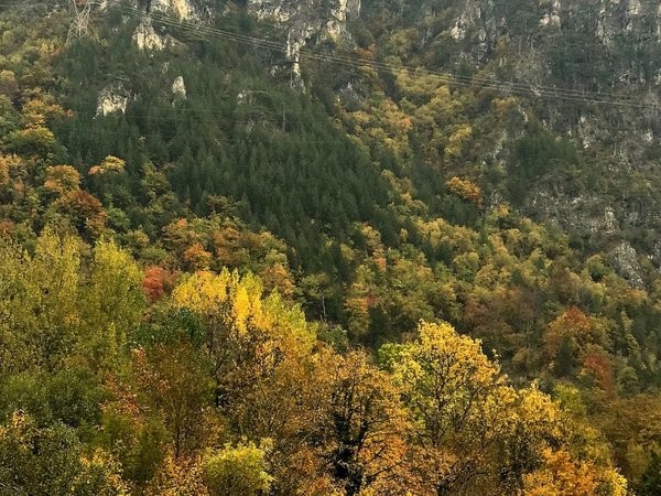 Рыбалка на озере, реке или море — едем из Сараева - фото 4