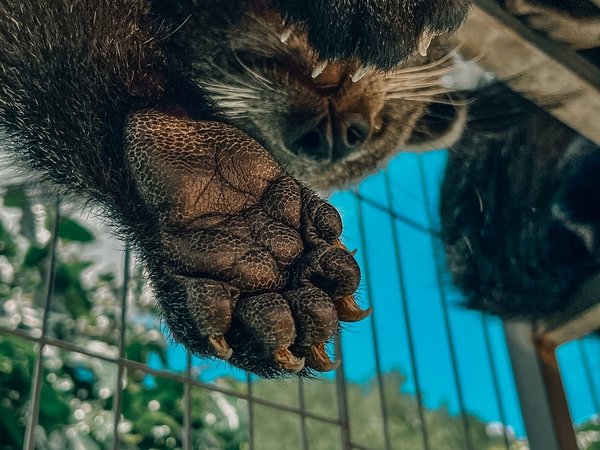 Тропическое путешествие: Вьетнам от райских пляжей до горного курорта и джунглей - фото 4