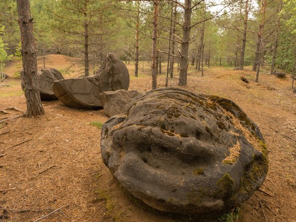 Путешествие в Котельнич — к природным памятникам - фото 4