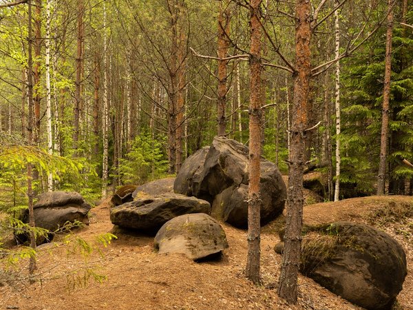 Путешествие в Котельнич — к природным памятникам - фото 2