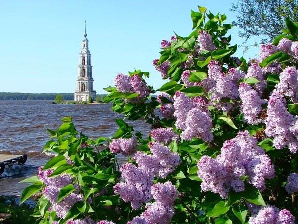 5 древних городов на берегах могучей Волги: автобусный тур из Москвы с дегустацией сыра - фото 2