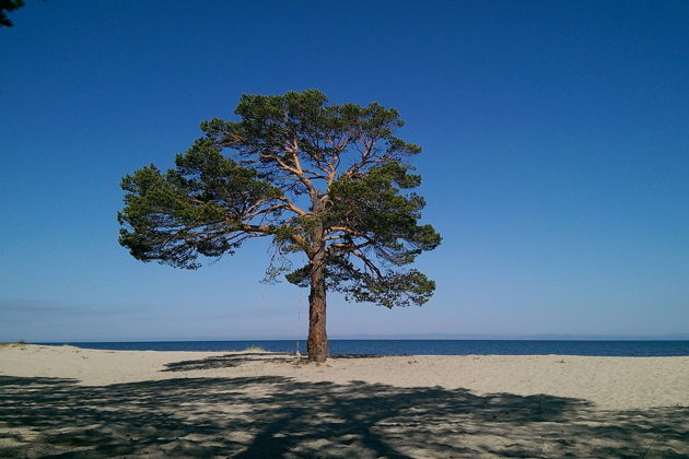 Трансфер в село Горячинск-2