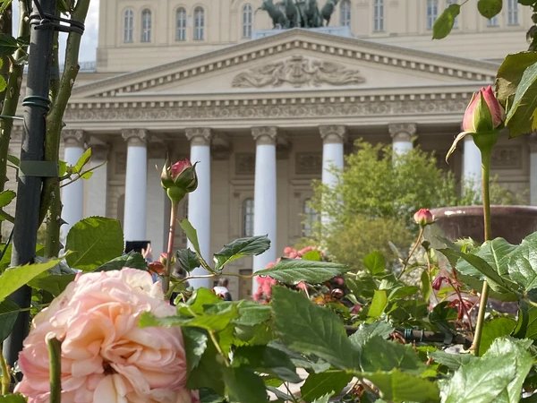 Нетеатральный подвиг театральных артистов